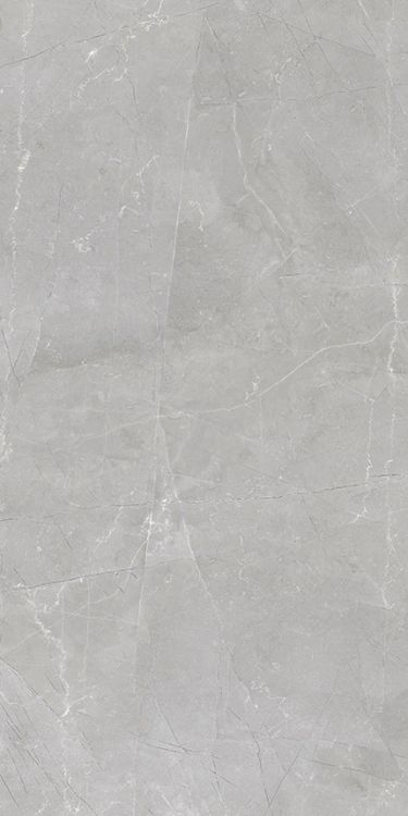 Luxury Amani Grey Matte 12 x 24